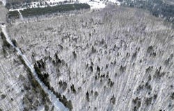 Plantation LN E 20, Rock, MI 49880