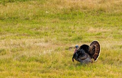 1884 County Road 319, Cleburne, TX 76033