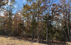 42 Summer Sky Drive, Greenbrier, AR 72058