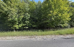 E Old Mountain Road lot: 4, Cedar, MI 49621