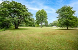 7250 N N Watervliet Rd Road, Watervliet, MI 49098