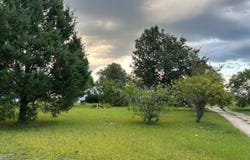 1290 Piney Grove Rd, Timmonsville, SC 29161