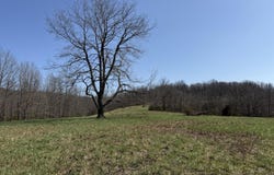 000 Harmony Road, Seymour, MO 65746