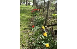 601 Washington Street, Prophetstown, IL 61277