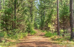Hwy 72, Carlisle, SC 29031