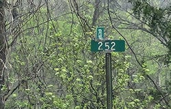 County Road 250, Drury, MO 65638