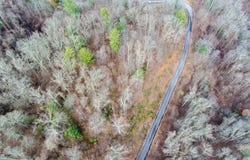 620 Elk Mountain Scenic Highway, Asheville, NC 28804