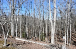147 Bentley Circle, Wellington, KY 40387