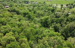 113 Blake Street, Marshall, AR 72650