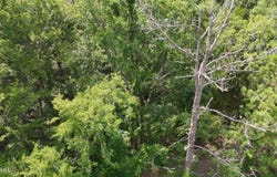 0 Chapel Hill Road, Utica, MS 39175