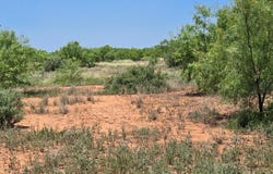 Hwy 277N, Bronte, TX 76933