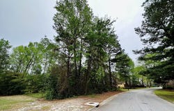 520 Mallard Drive, Sumter, SC 29150