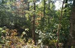 Evans sisters rd, Flemingsburg, KY 41041