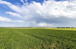 TBD E 1400 N, Ashton, ID 83420
