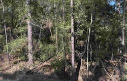 171 Sassafras, Brookeland, TX 75931