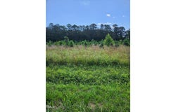0 Paschall Station Road, Warrenton, NC 27589