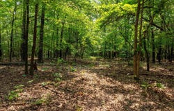 000 Cave Creek Road, Batesville, AR 72501