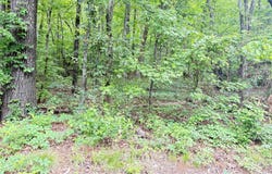 Lot 72 Holiday Shores Road, Scottsboro, AL 35769