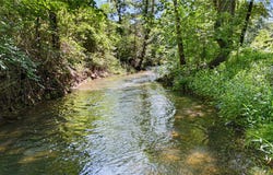 1480 SR 27, Dover, AR 72837