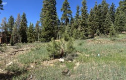 1065 Redwood RD, Duck Creek, UT 84762