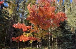 S Loon Lake Rd., Aurora, MN 55705