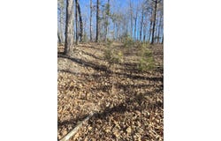 Ruddle Rd, Mountain View, AR 72560