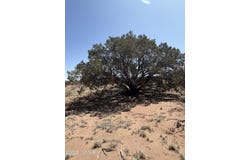 8580 Lawson Lane, Snowflake, AZ 85937