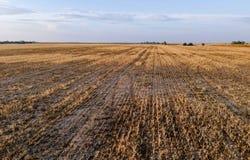 00000 McCracken #1, McCracken, KS 67556
