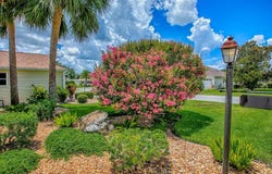 17335 SE 80TH TURNBULL COURT, THE VILLAGES, FL 32162