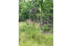 235 Madison CR 410, Fredericktown, MO 63645