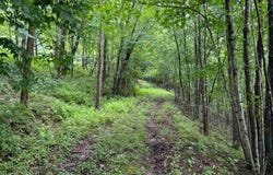 0 Alton Road, French Creek, WV 26218