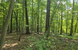 0 Klondike Rd, Middlebourne, WV 26149