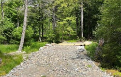 TBD Marks Mountain Way, Dedham, ME 04429