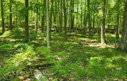 8107 Deer Ridge Ct, Baileys Harbor, WI 54202