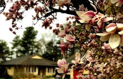 4482 LOWER MOUNTAIN ROAD, NEW HOPE, PA 18938