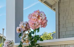 411 Main Street, Sausalito, CA 94965