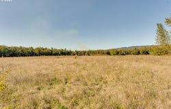 NE Cullen Rd, Newberg, OR 97132