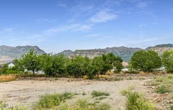319 S 1100 East, Pleasant Grove, UT 84062