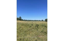 141 Duncan Ln, Poughkeepsie, AR 72569