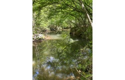 000 hwy 438, Mt Hermon, LA 70450