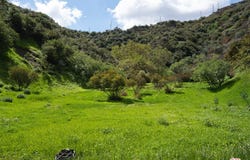 3423 Standish Dr, Encino, CA 91436