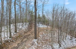 #4 Viewpoint Mountain, Waynesville, NC 28786