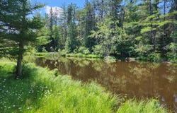 10465 Mason Road, Onaway, MI 49765