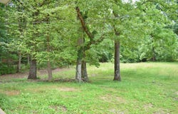 25682 Rhea County Highway, Spring City, TN 37381