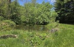 Dooley Hollow Rd, Ewing, VA 24248