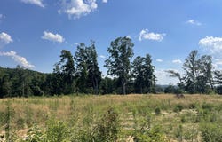 Lot 21 Laura Boling Loop Rd, Strawberry Plains, TN 37871