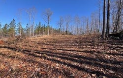 0000 Neely Road, Asheboro, NC 27205