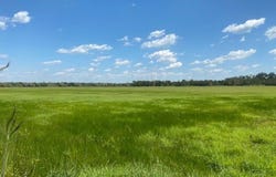 573 CR 154, Cedar Lane, TX 77414