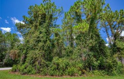 32 UHL Path, PALM COAST, FL 32164