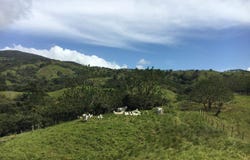 Pacora, Panama City, 